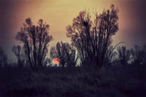 為什麼老話說三歲定八十