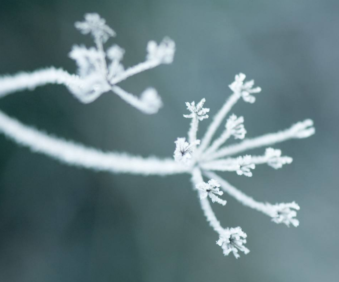 至善至德禪武醫