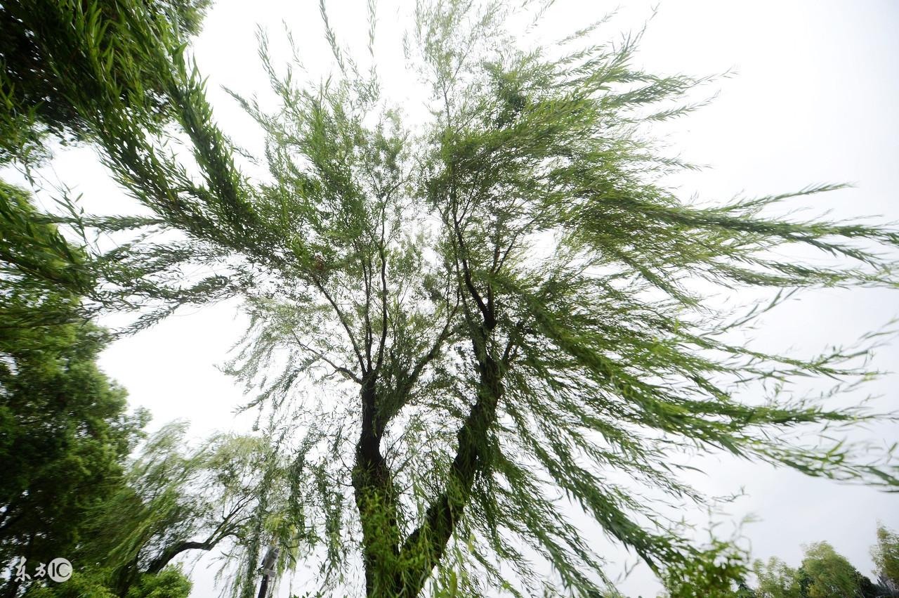 除了風水以外買樓的十大原則