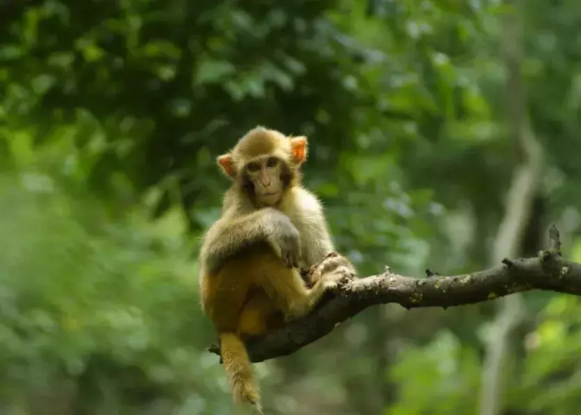 故事很短，卻說透了我們的一生，我看了10遍！（值得收藏）