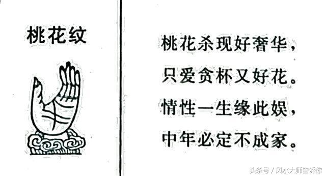 手相：掌紋大全，掌中紋理解析，看過的人都說准