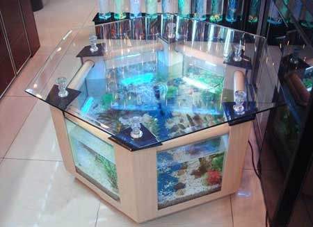 魚缸的選擇和擺放有哪些命理風水講究？