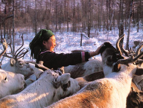 女養鹿，男馴鹿，來自中國山林民族與自然的契約