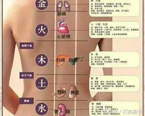 身體多病，源自五行受傷，有的無法根治伴隨一生