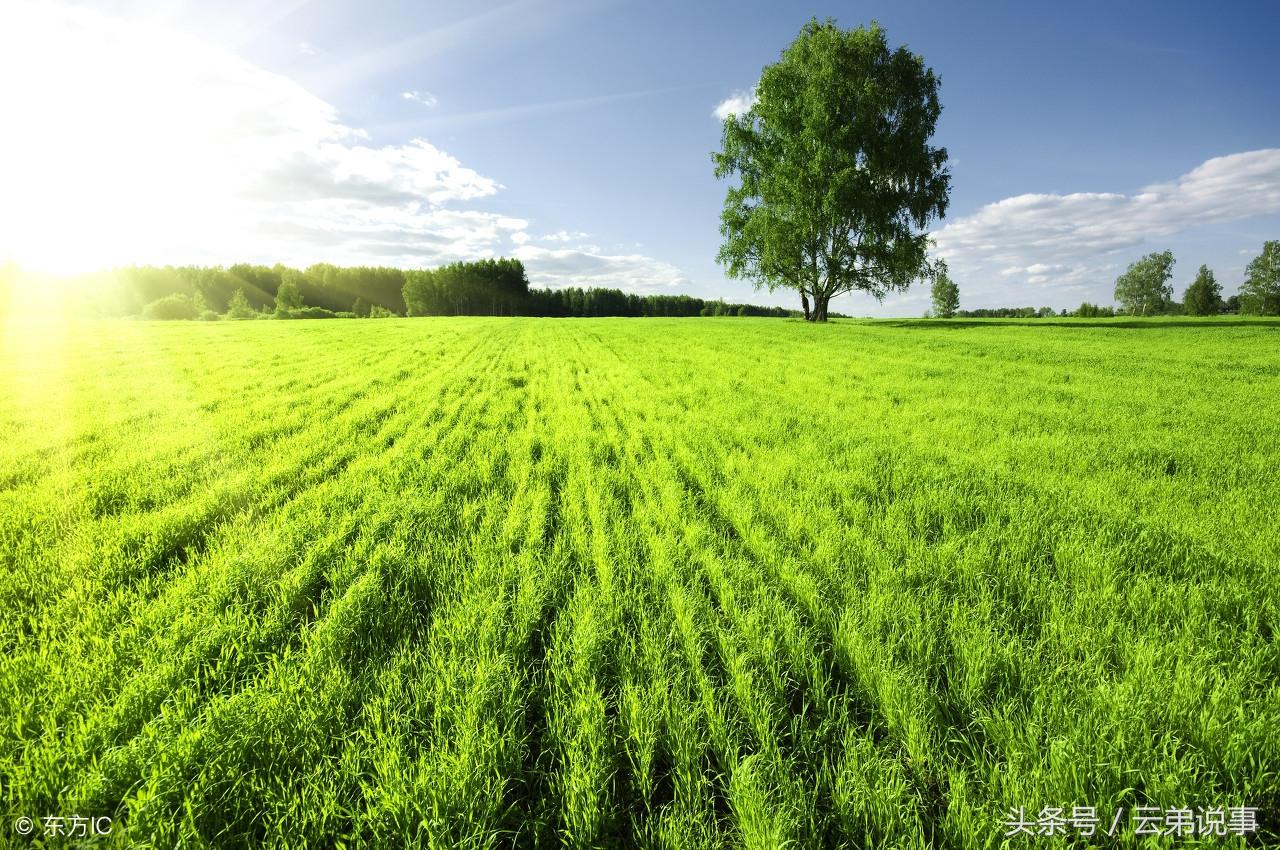 婚姻不順與「克夫克妻」有何不同？風水師多年經驗分享，值得收藏