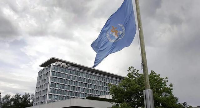 世衛組織要來中國調查新冠源頭？還是來了，好得很！我雙手贊成