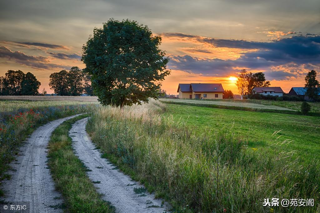 傳統風水學認為房屋為何不能建在墳地附近，住宅位於平原如何遮風