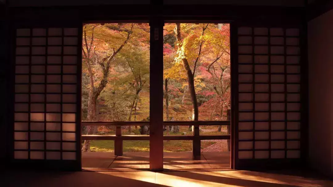 後半生，你越活越好的7個跡象！