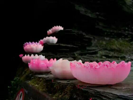 世間不會有無緣無故的相逢