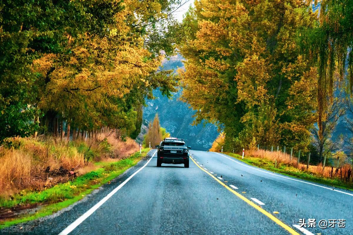 也會有人給你買花，匆匆忙忙地想去見你