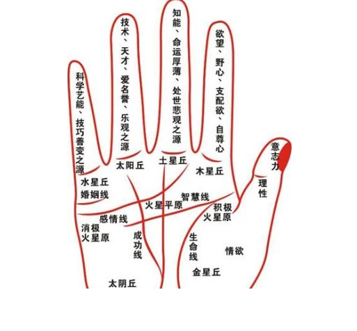 從感情線上判斷，男女雙方是否合適在一起？