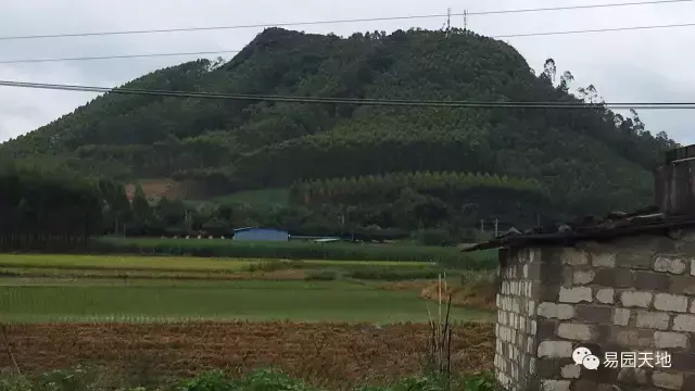 風水解讀：一個真實的案例告訴你，墳地風水對後人影響有多大