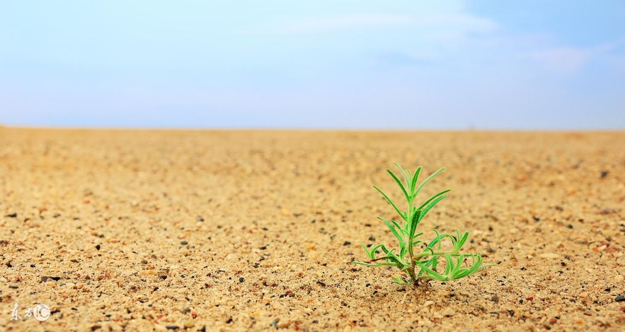 為什麼你覺得活著沒意思