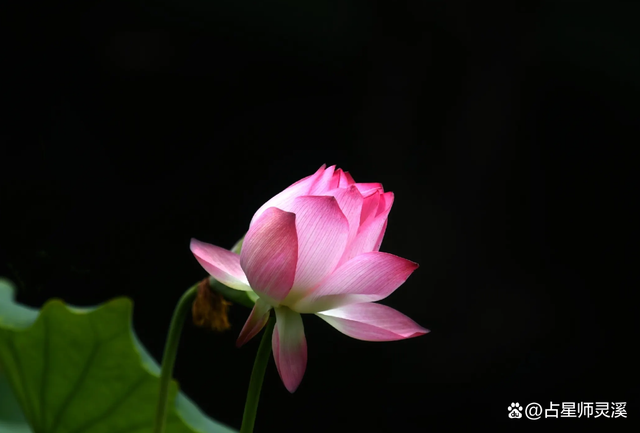 12月3日到达后财神送财,哪些星座事业大展宏图?