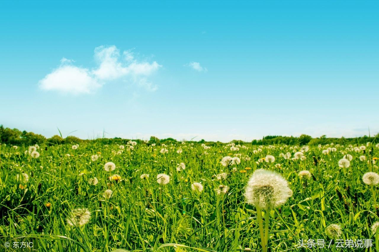 資深風水師告訴你：做到這三點命格層次高，運氣到來如有神助！