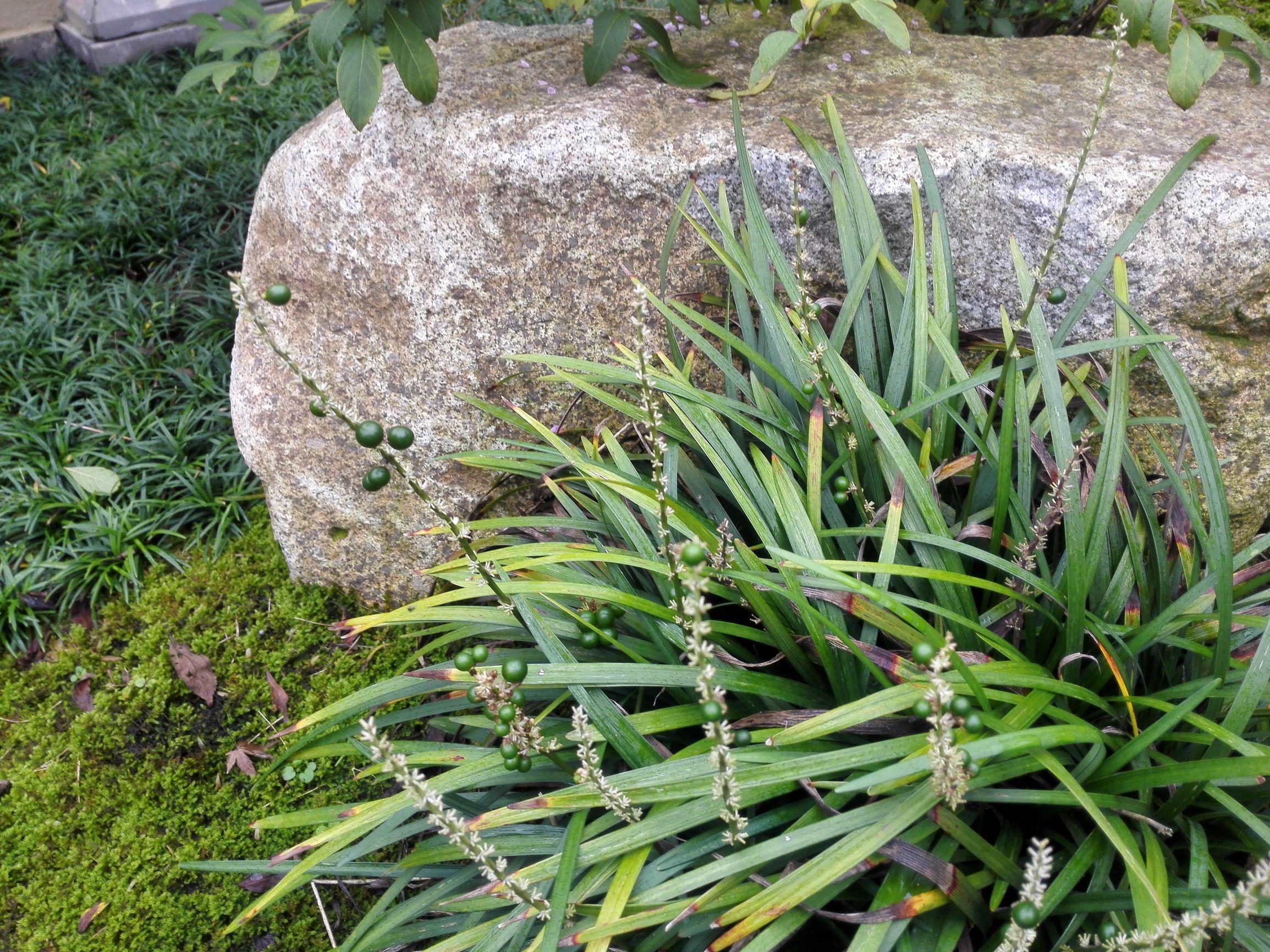 活到現在，拿得起放得下的只有筷子！