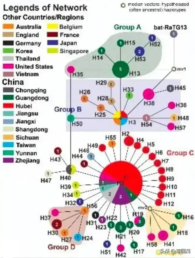 盤點新冠病毒來源的幾種說法，哪一個更接近真相？