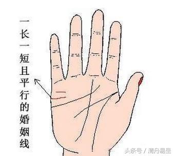 手相只要「這處大分叉」，此類人身在商場必定成功