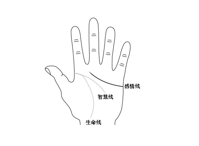 看過來，右手這個手指和無名指長度相等的，可能是同xing戀哦！