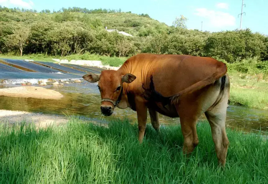 故事很短，卻說透了我們的一生，我看了10遍！（值得收藏）