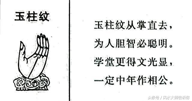 手相：掌紋大全，掌中紋理解析，看過的人都說准