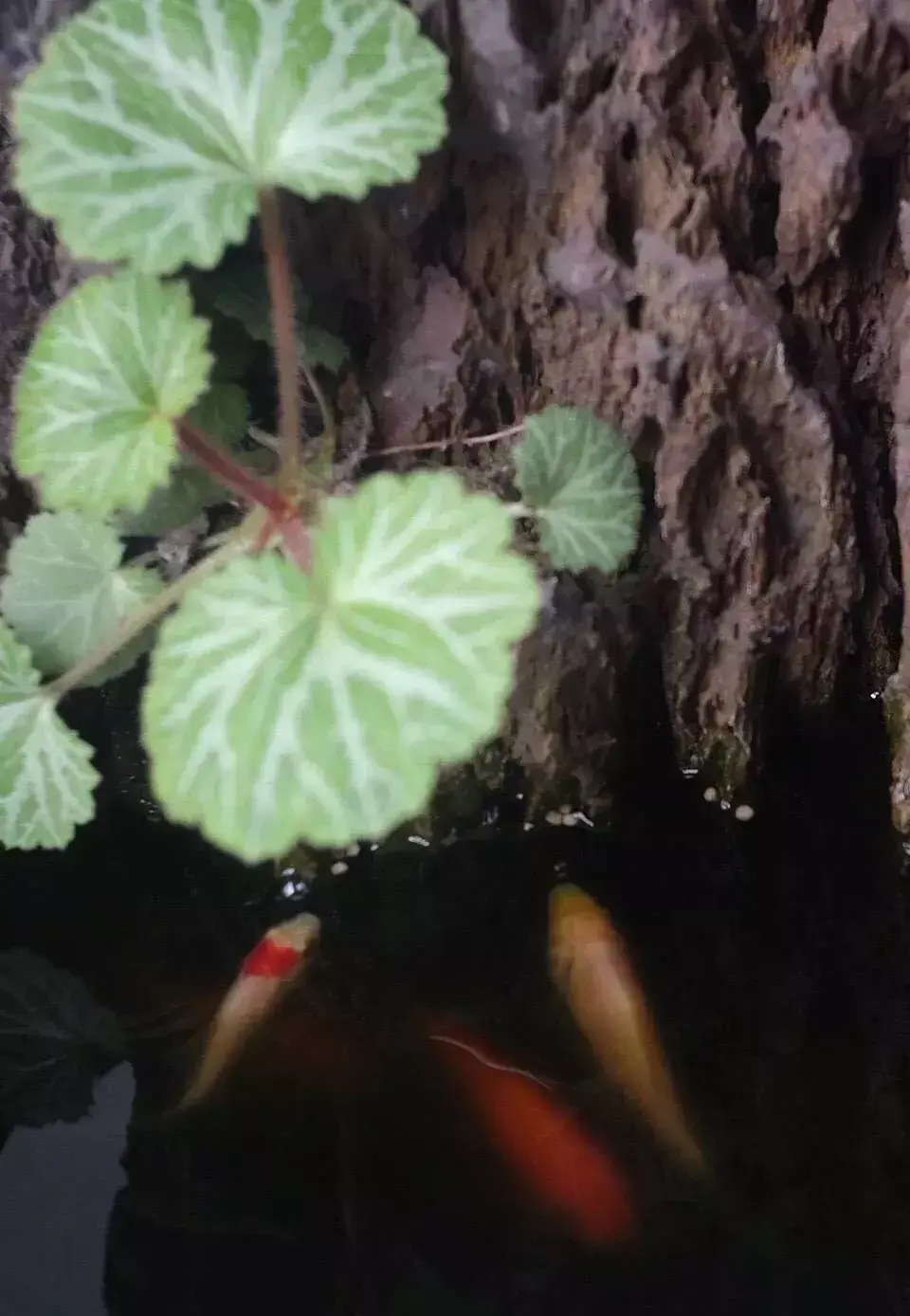 風水中房屋的「缺角」說法，如何化解