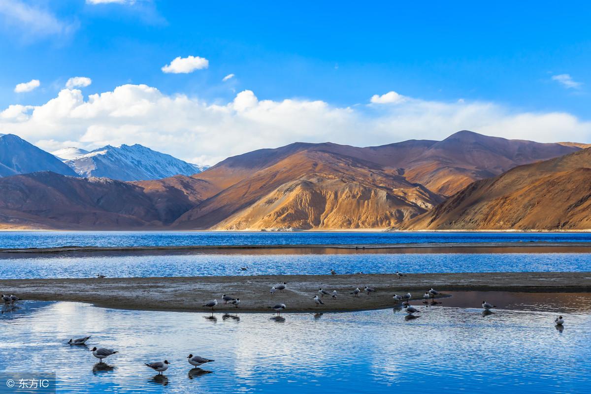 魚缸的擺放位置，攻略全知道