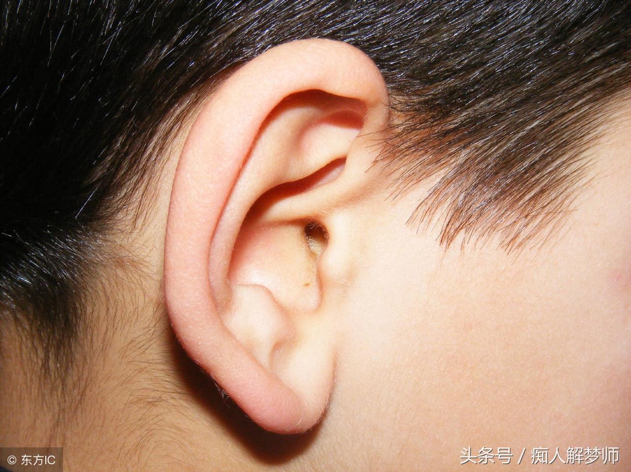 耳垂肥厚的人有福氣是不是真的?