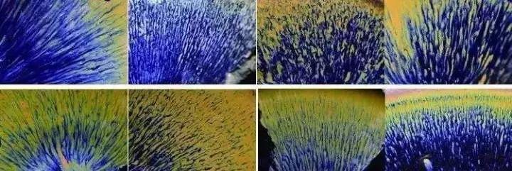 建盞窯變——圖解建盞5大釉色