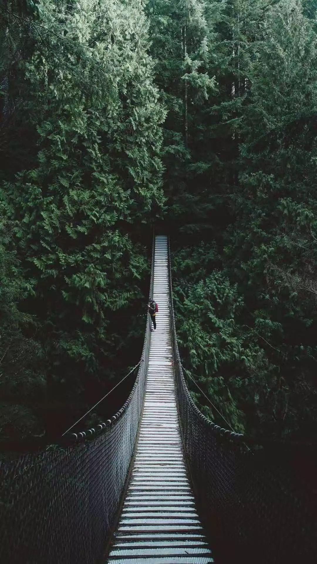 晚讀：人到中年，如酒亦如詩