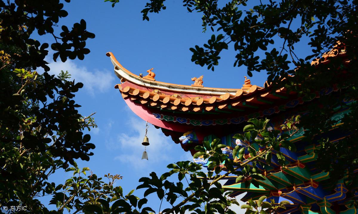 小夥子去算命，老先生左右為難不肯算，之後卻釀成大禍