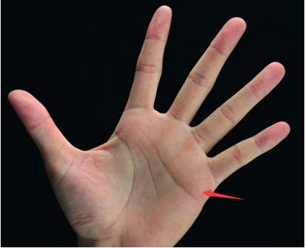 感情線太長的女人佔有慾強,不合適跟大男子主義的人結婚