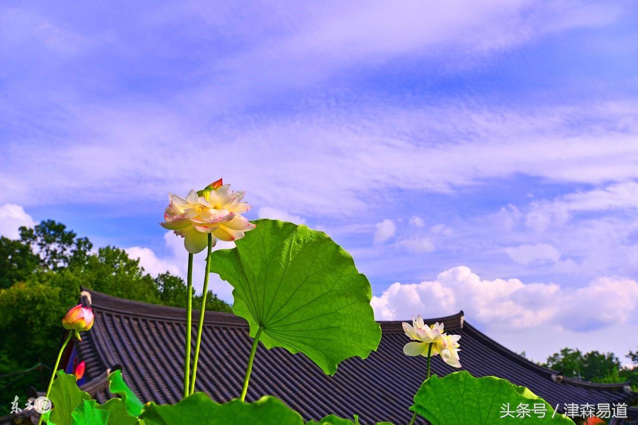 陽宅風水重要的幾個地方,你注意到了嗎?