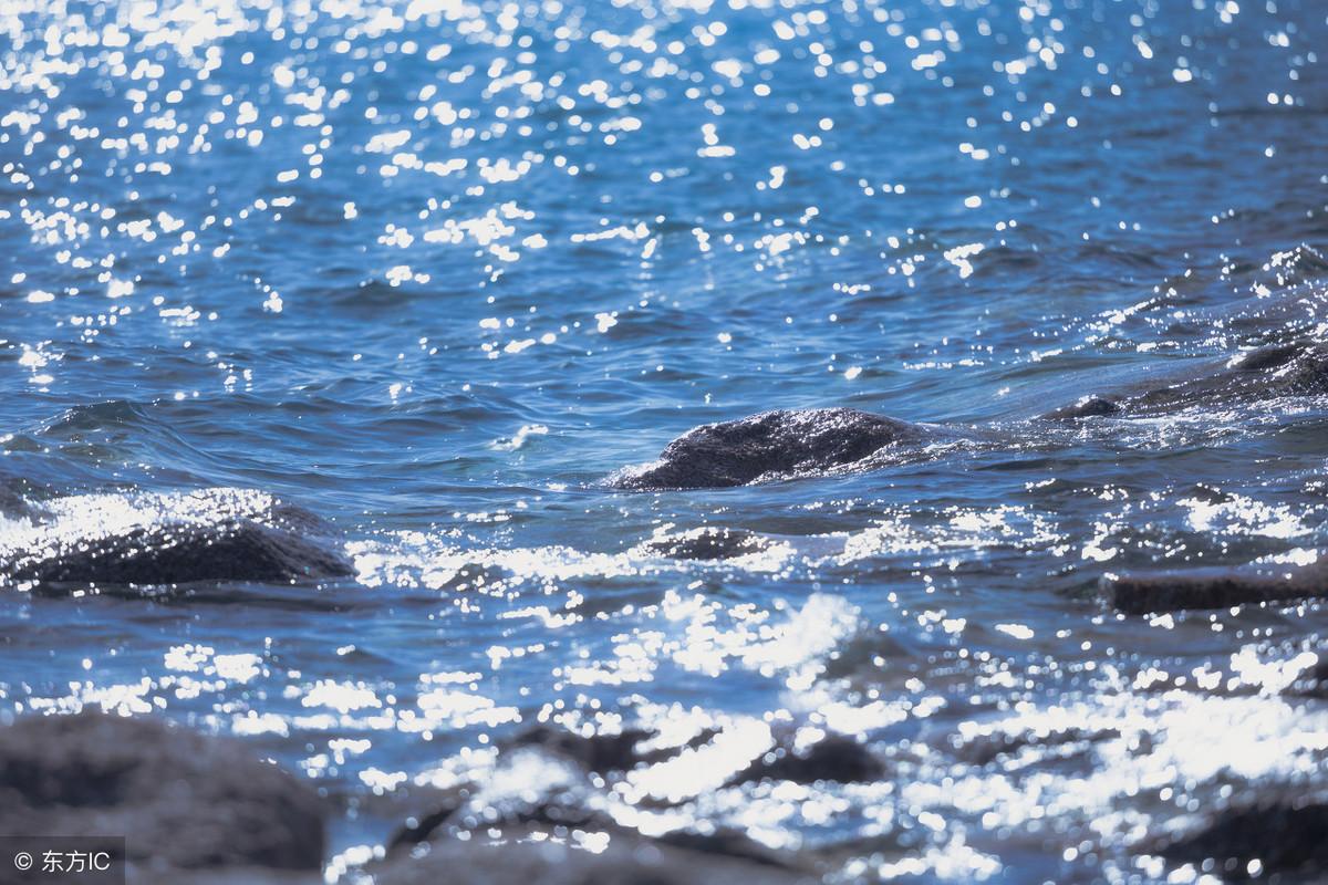 將星和華蓋同入命，命里有華蓋將星