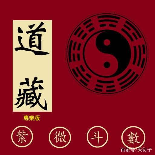 紫微斗数看一个人的相貌,看看你是什么什么星?