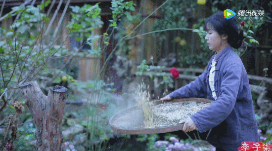李子柒田園牧歌式的人生，在美食里體驗煙火氣息，享受慢時光生活