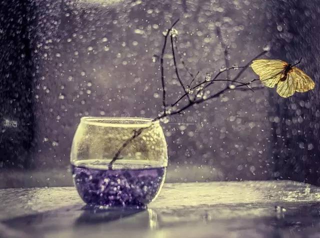 一代才女林徽因的唯美文字