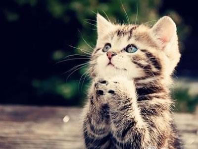 人命犯桃花好還是不好?