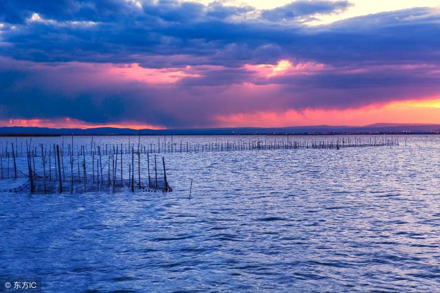 算命先生斷言：這天出生的人今年肯定會喜結良緣，婚姻必修成正果