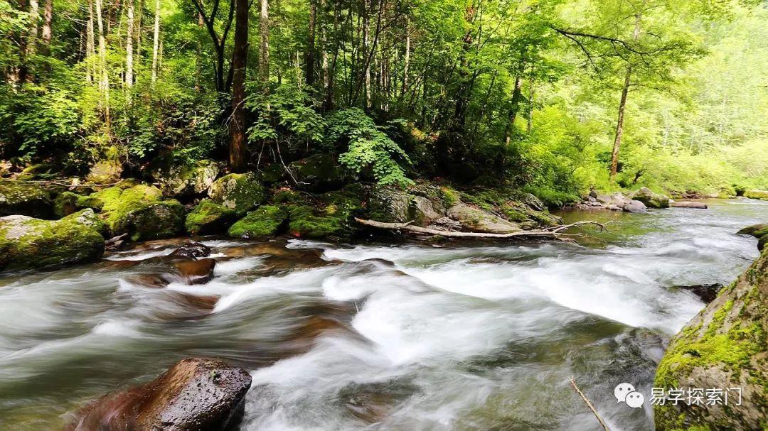 有錢人那麼多，為什麼窮的是你？