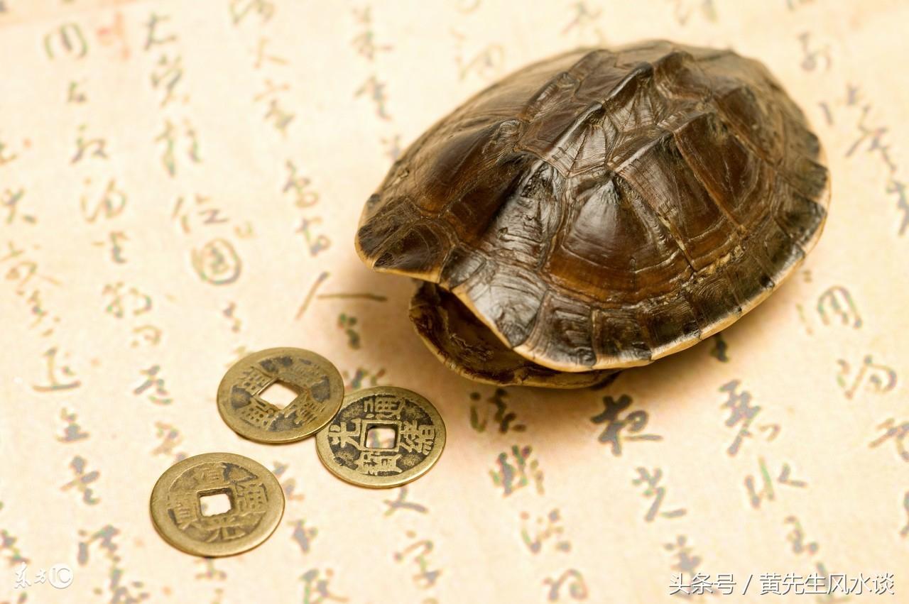 讀一遍就入門，最全的風水命理必要基礎科普知識