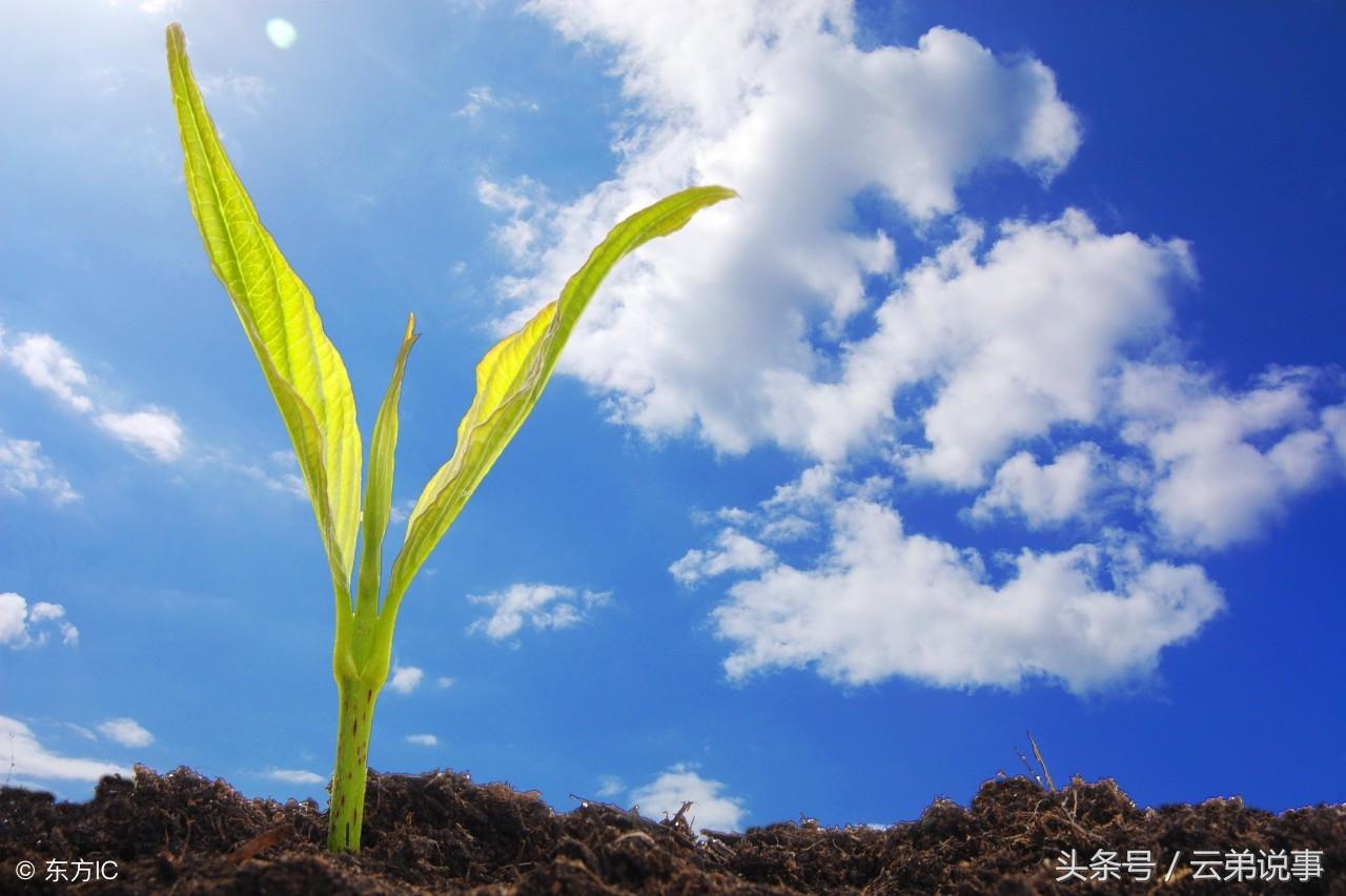心不屈,定不凡,30餘載資深風水王師傅教你如何面對人生無常!