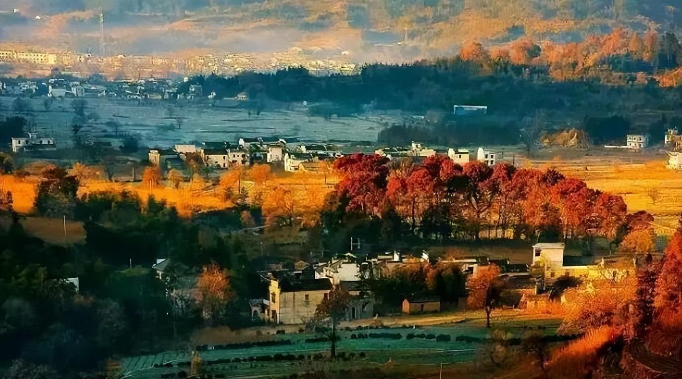 運勢好的人在生活中有哪些特徵