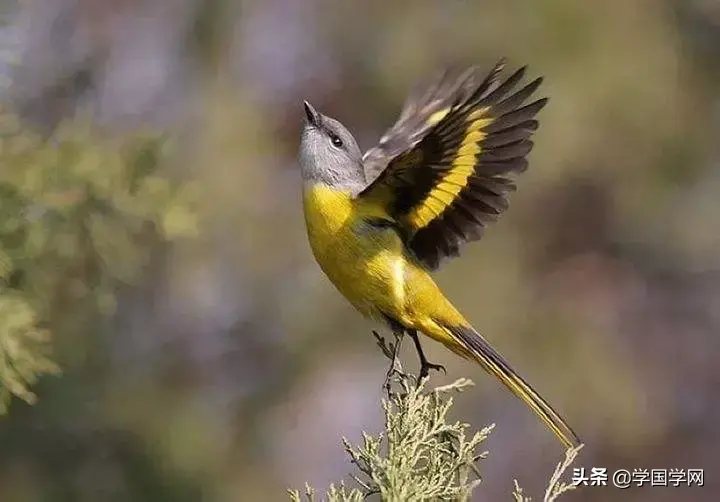 4個小故事，很短，卻影響了上億人