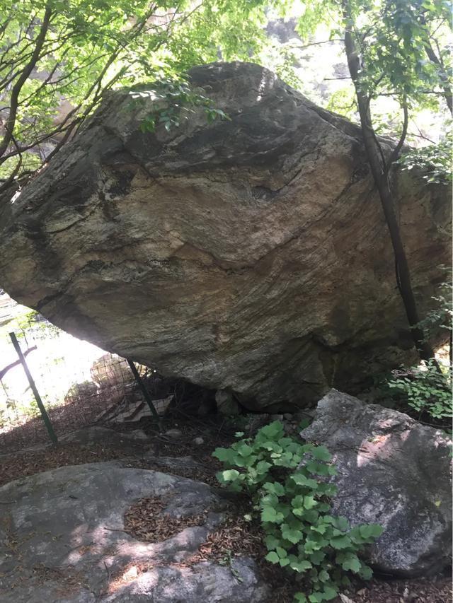 游山趣聞,一根細小枯枝能頂得起一塊巨石?