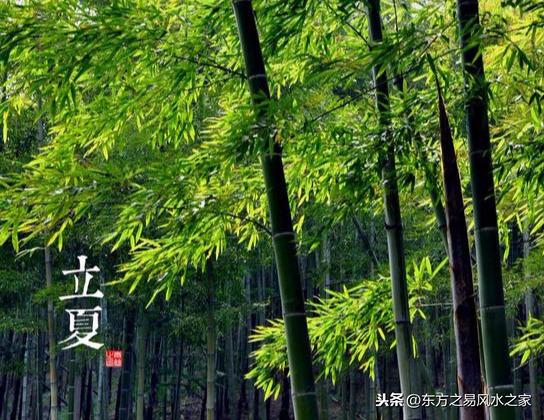 冬至"數九」歌和夏至「數九"歌各怎麼表述？