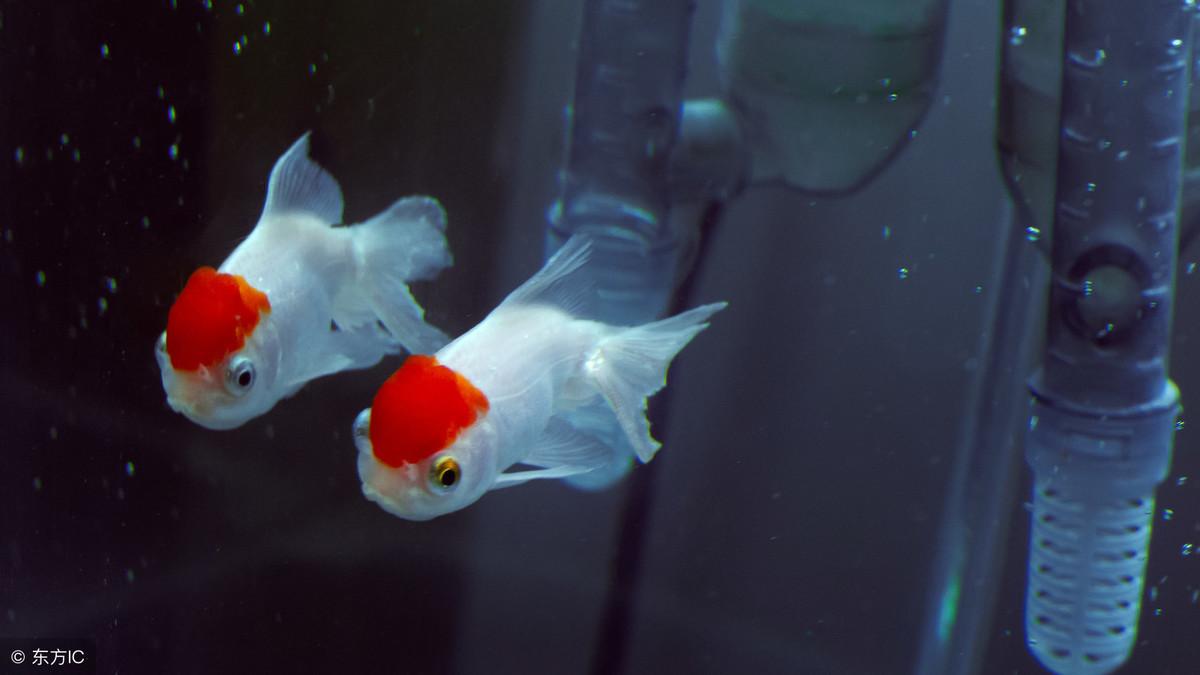 風水四招教你輕鬆趕走家中煞氣