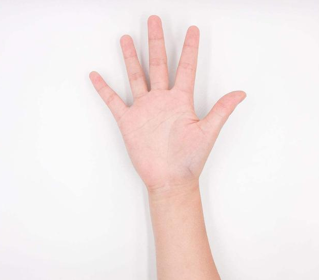 從你手指間隔的空隙來看你財運大小、和你五指的財源財運如何！