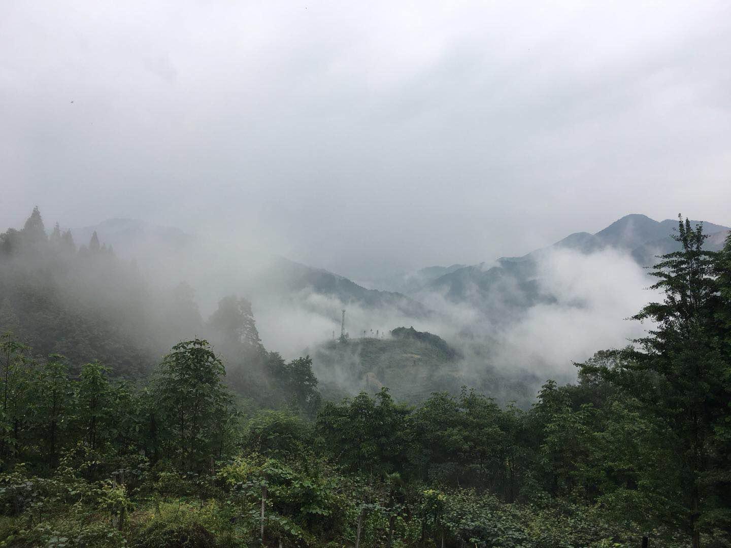 八字是顯學，風水是秘法