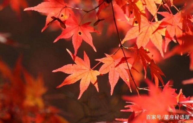 未来一周，财星照耀，生活美满喜事多的星座有哪些呢？